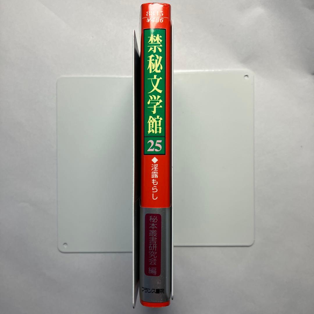 禁秘文学館 25 官能小説　フランス書院　フランス￼書院文庫