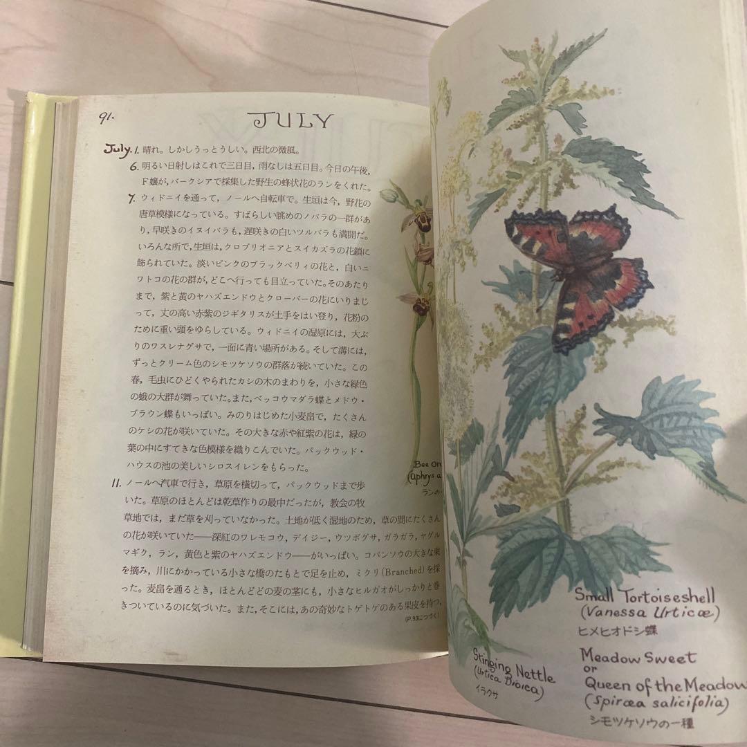 edith holden　イーディス•ホールディン　カントリーダイアリー