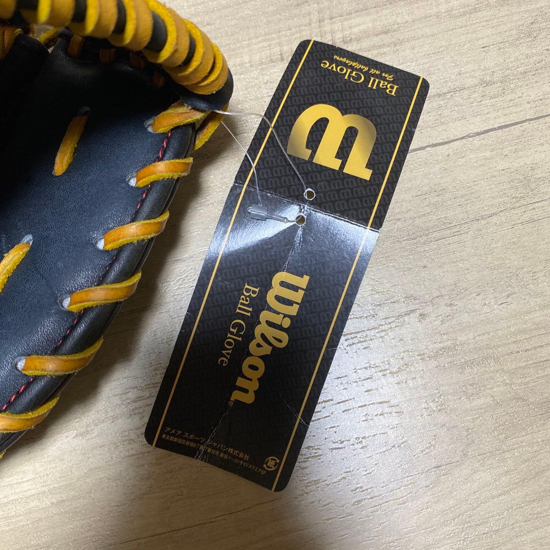 Wilson トレーニング用 ファーストミット