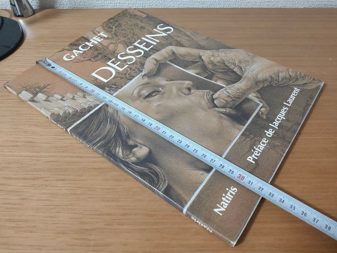 Desseins　 Gerard Gachet　ジェラール・ガシェ素描集