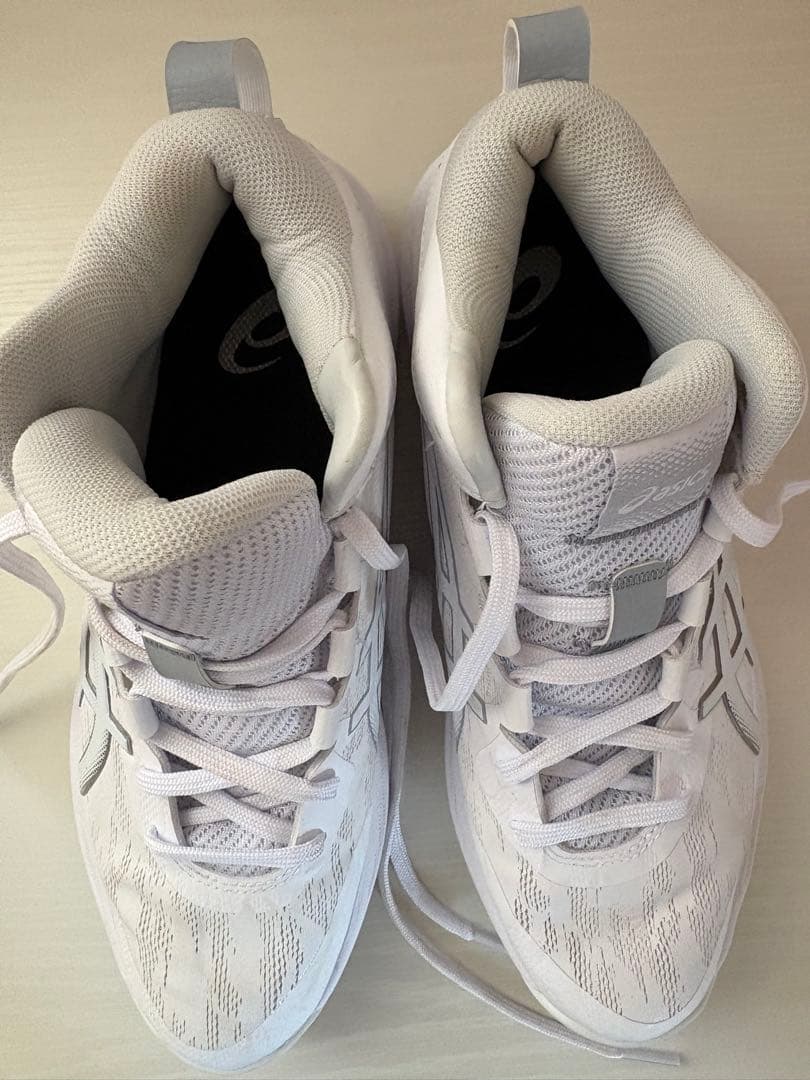 ASICS バスケットボールシューズ GELHOOP V17 STANDARD