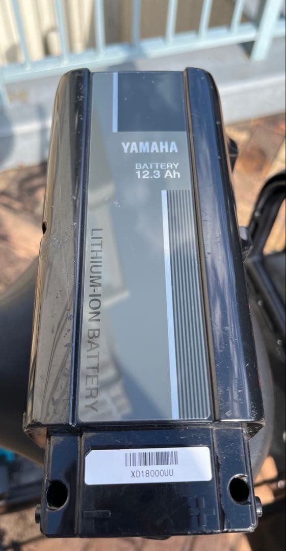 自転車本体 YAMAHA PASS Babby