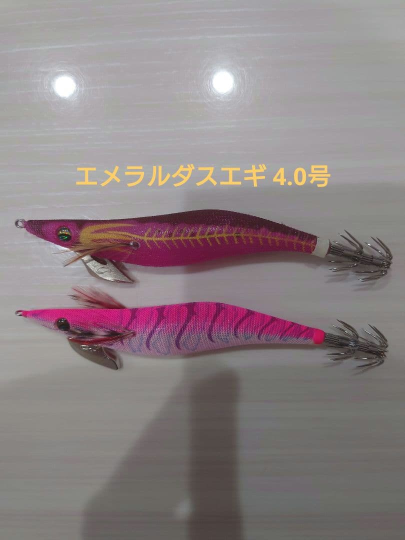 エギ王K&エギ王LIVEを含むエギセット