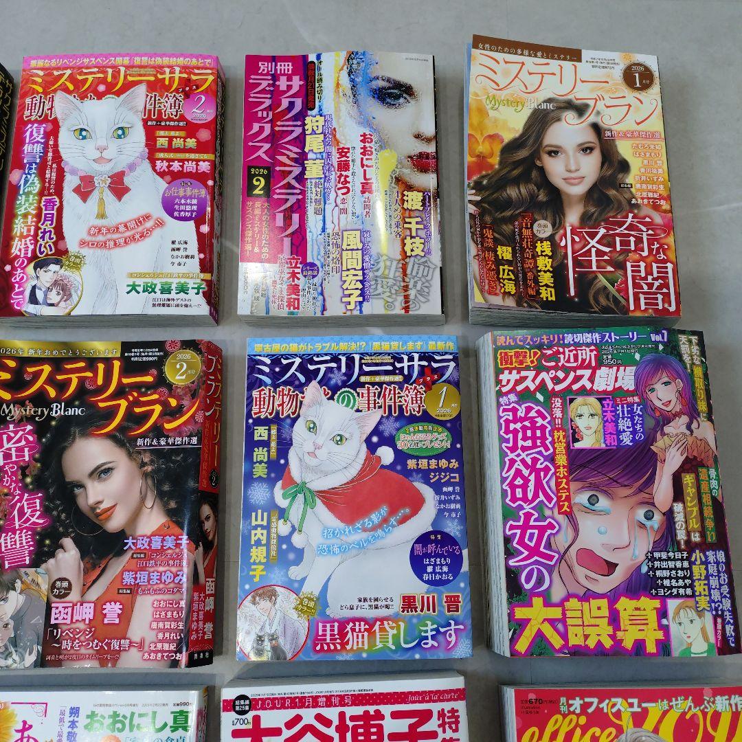 レディースコミック17冊　　②