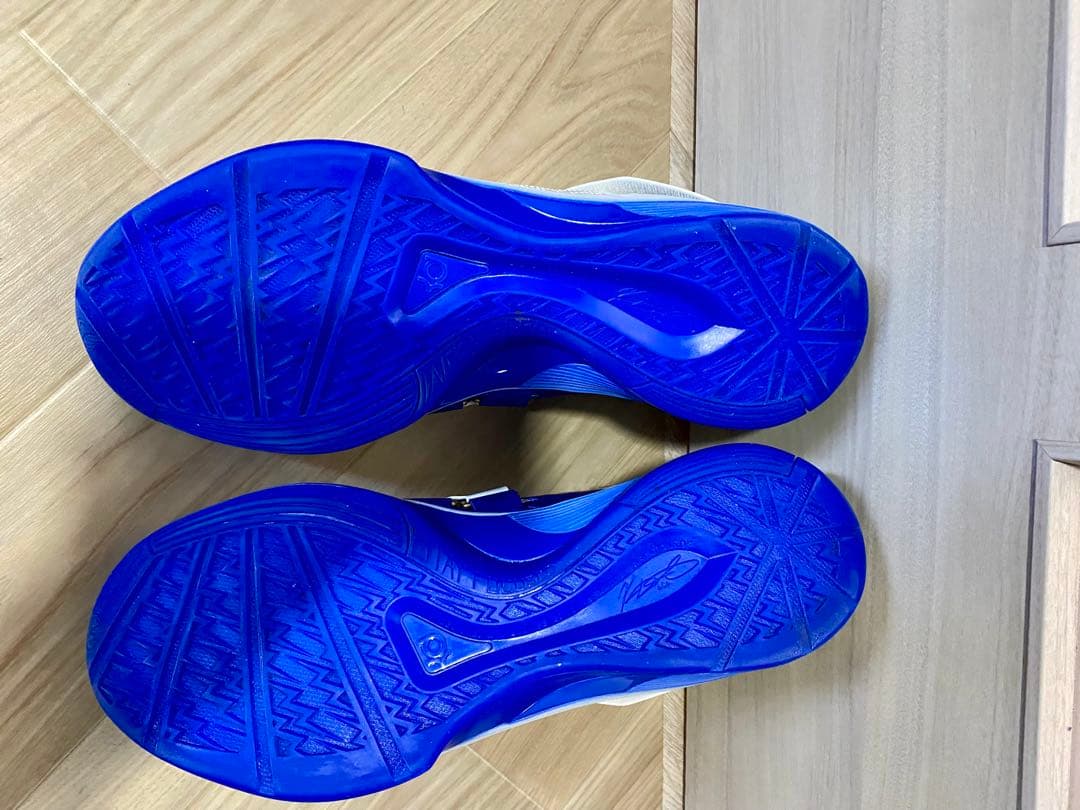 Nike Zoom KD 4 MVP サイズ31cm