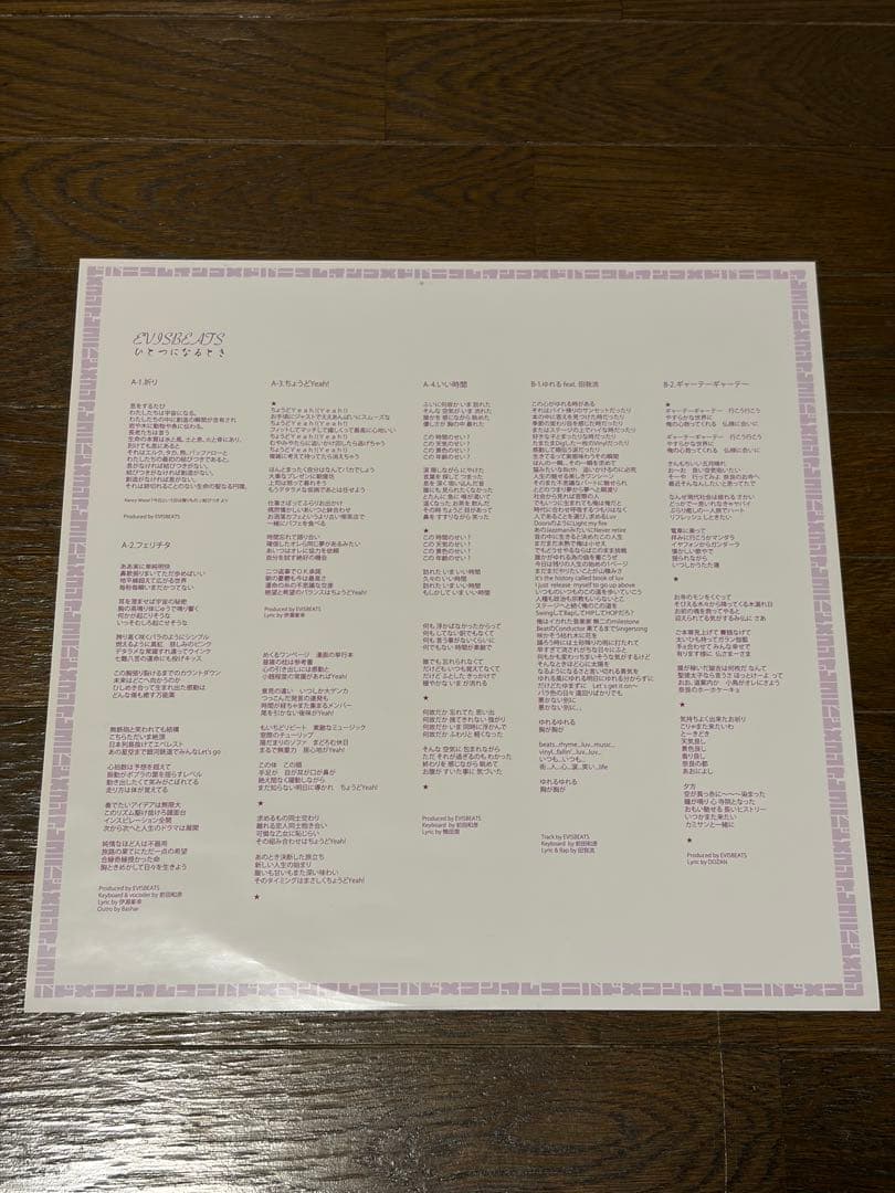 EVISBEATS ひとつになるとき オリジナル盤 LP 田我流