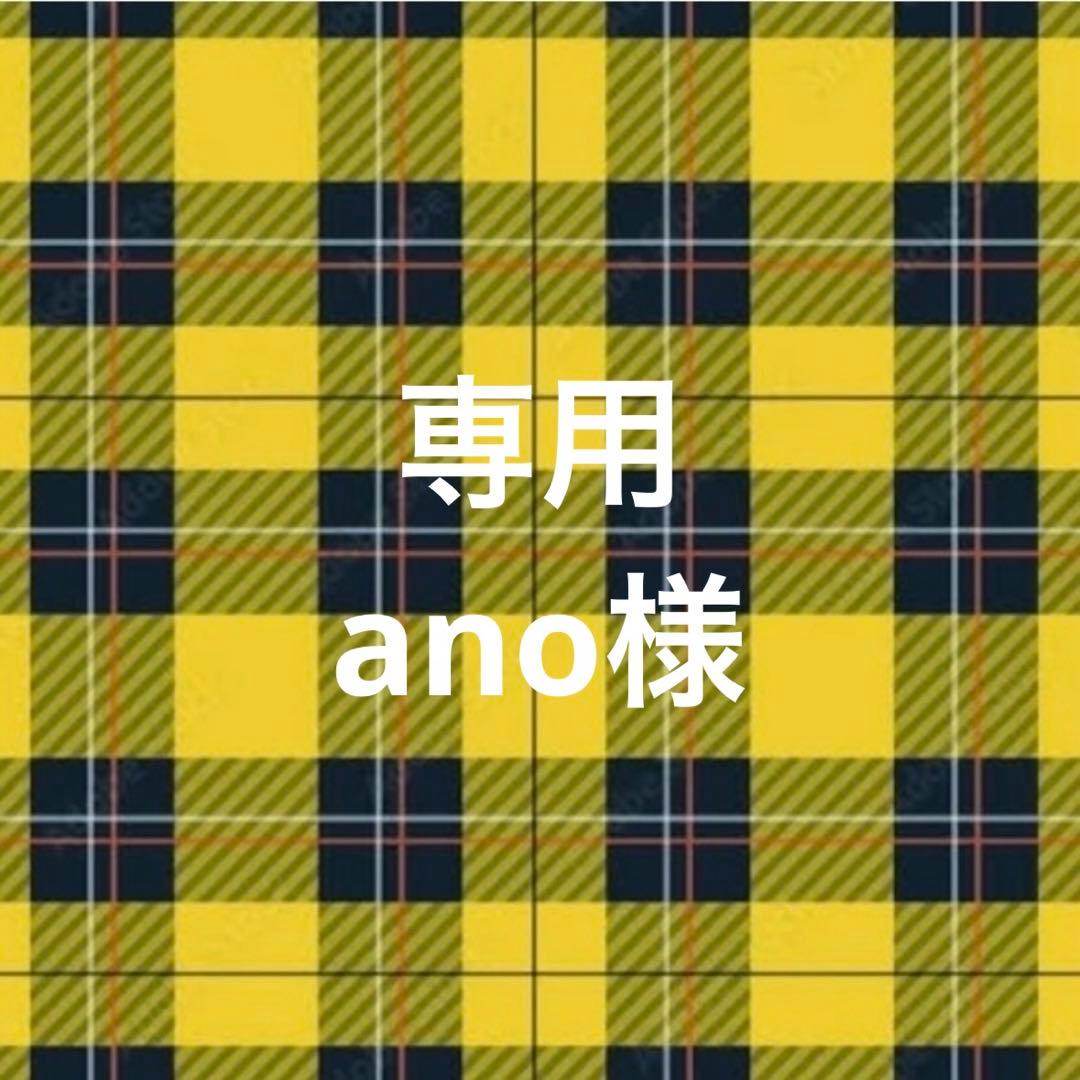 ⑤専用ページ ano様