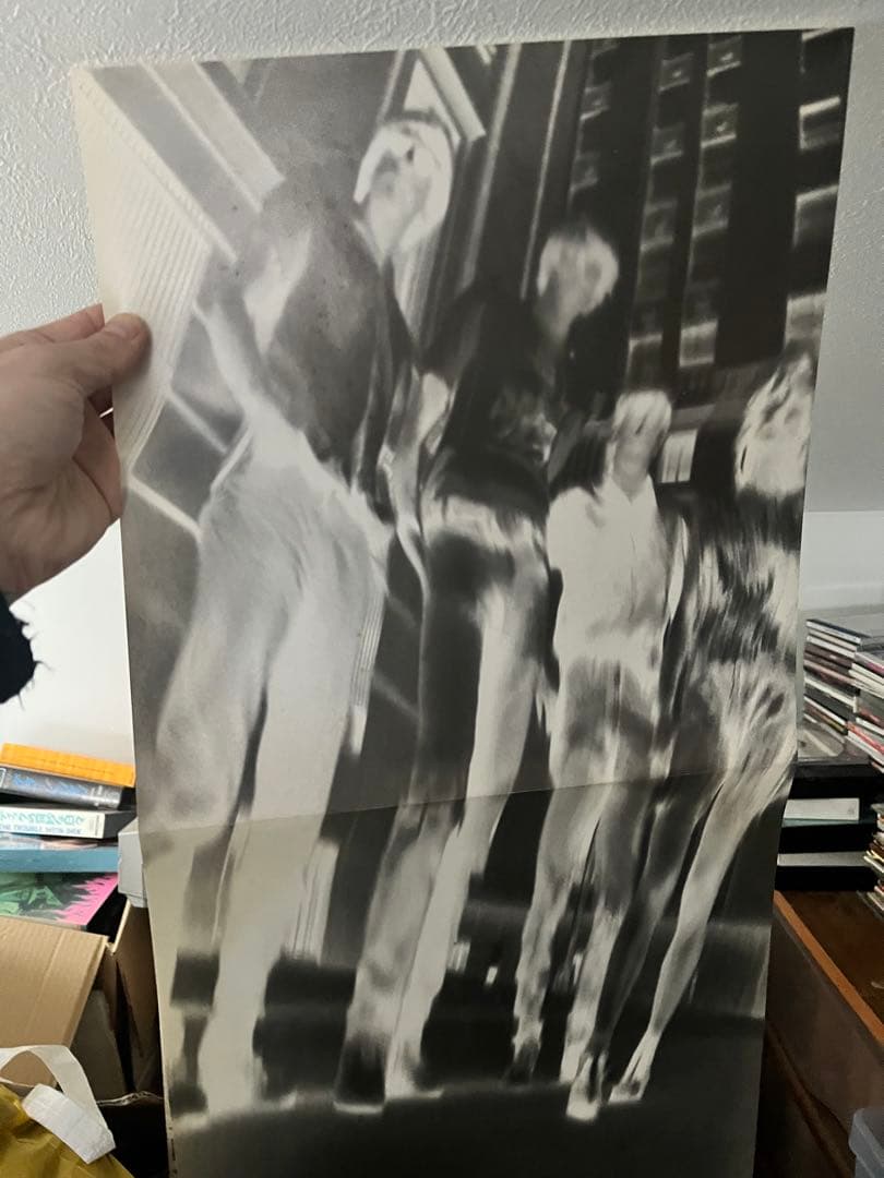 Sonic Youth Daydream Nation レコード
