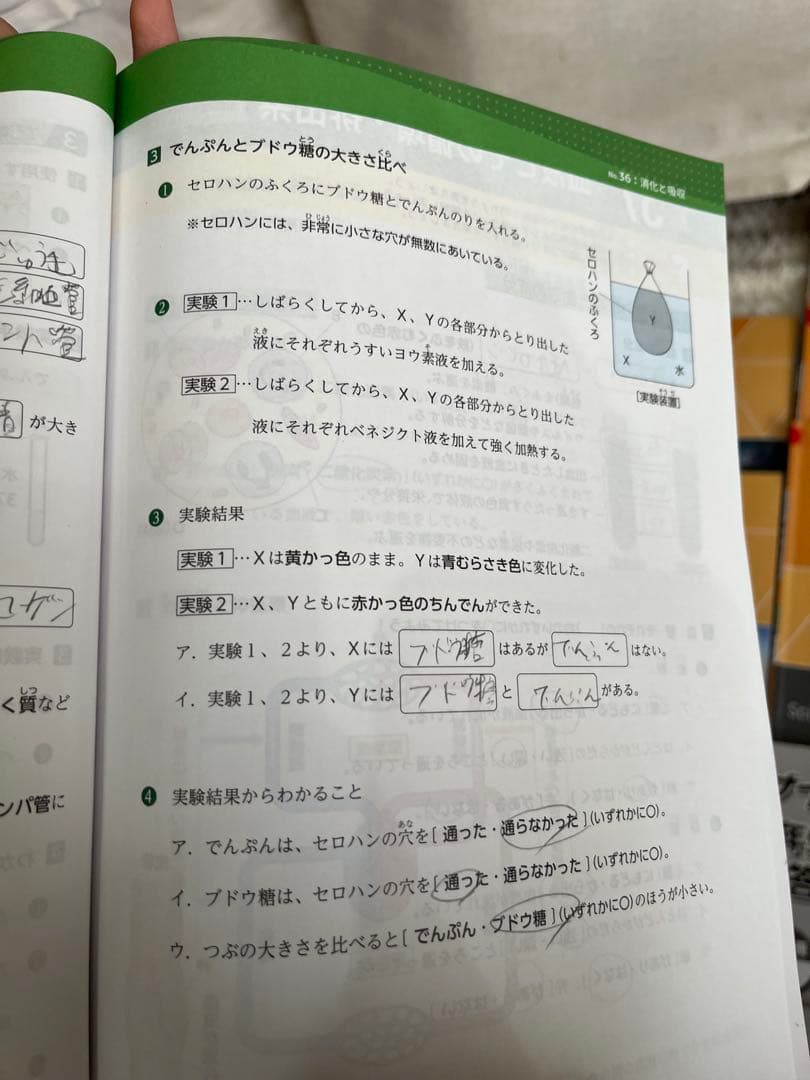 浜学園　小5 テキスト　マスター　国語算数理科社会　①
