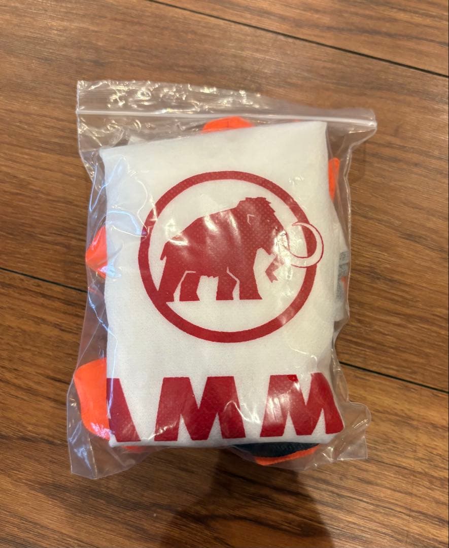 MAMMUT ヘルメット SIZE 56-61cm ウォール ライダー