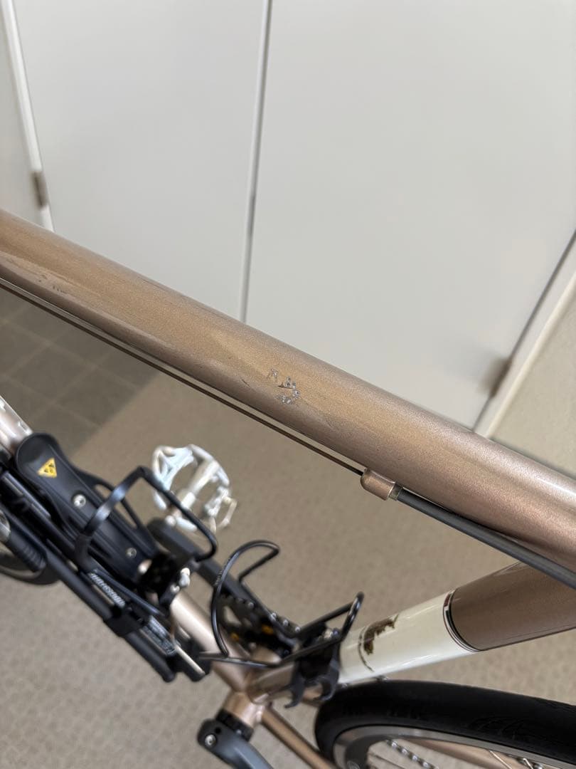 RALEIGH (ラレー) CRF Carlton-F 2018 1×11