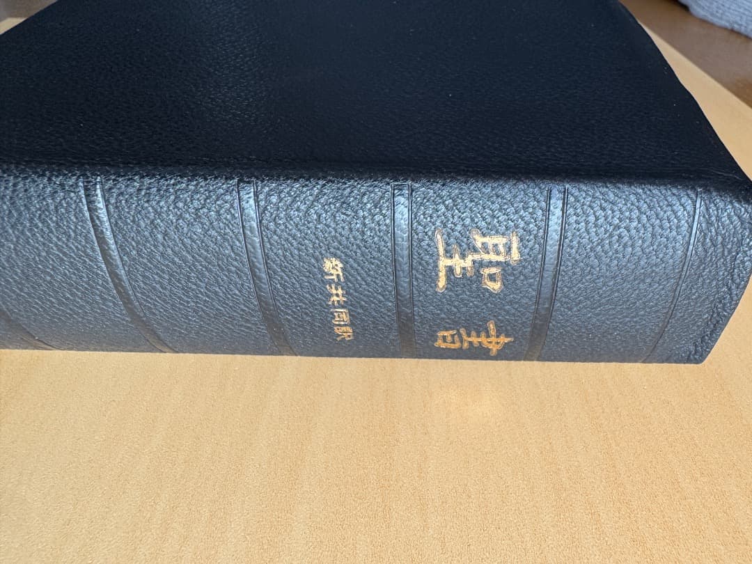 新共同訳聖書　小型　革装　（箱付き）