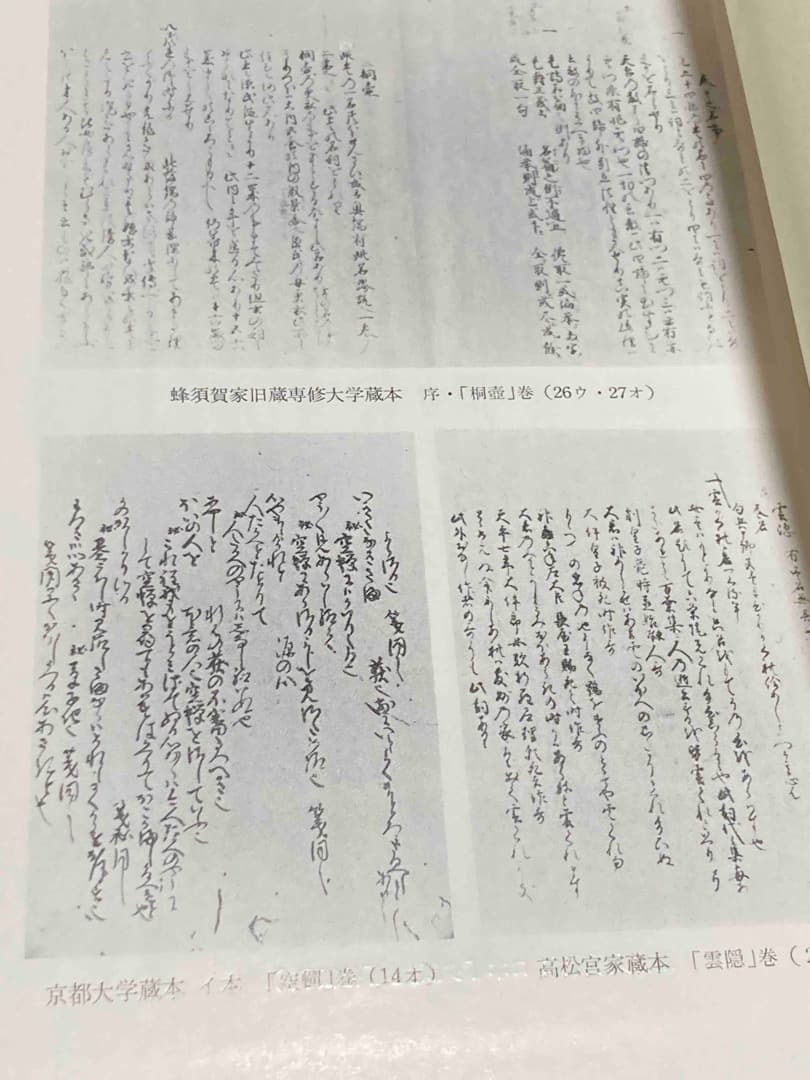 源氏物語古注集成15 岷江入楚 第五巻◆桜楓社、平成5年/X315