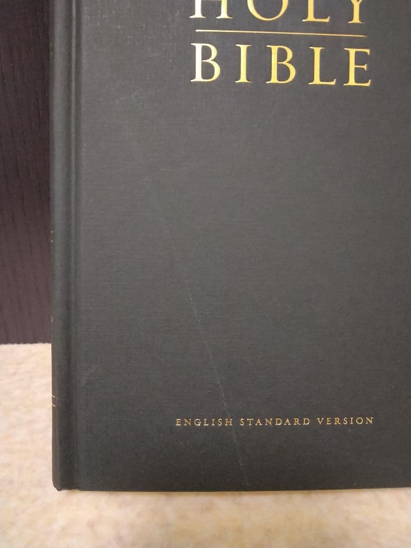 洋書 HOLY BIBLE ENGLISH STANDARD VERSION