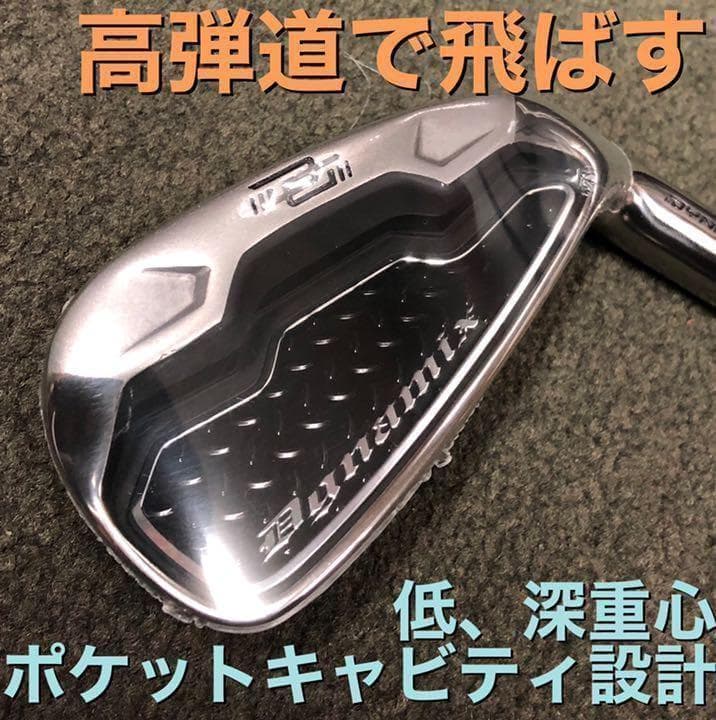 【ヘッド6個】強反発で飛ばす! ダイナミクス アイアン カスタム用ヘッド単品