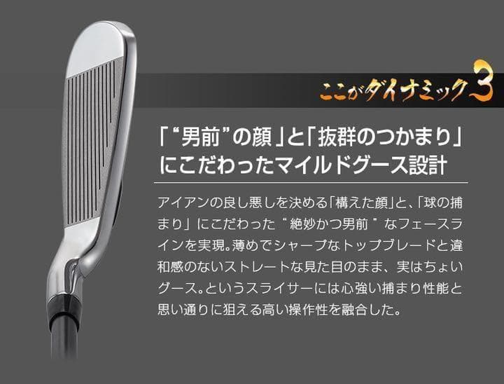 【ヘッド6個】強反発で飛ばす! ダイナミクス アイアン カスタム用ヘッド単品