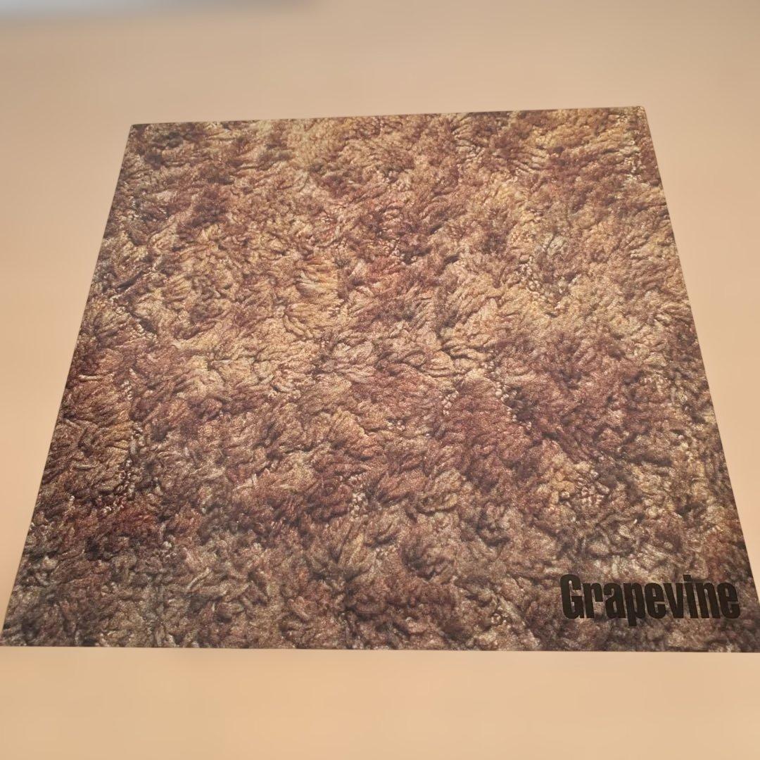 GRAPEVINE/LIFETIME LPレコード