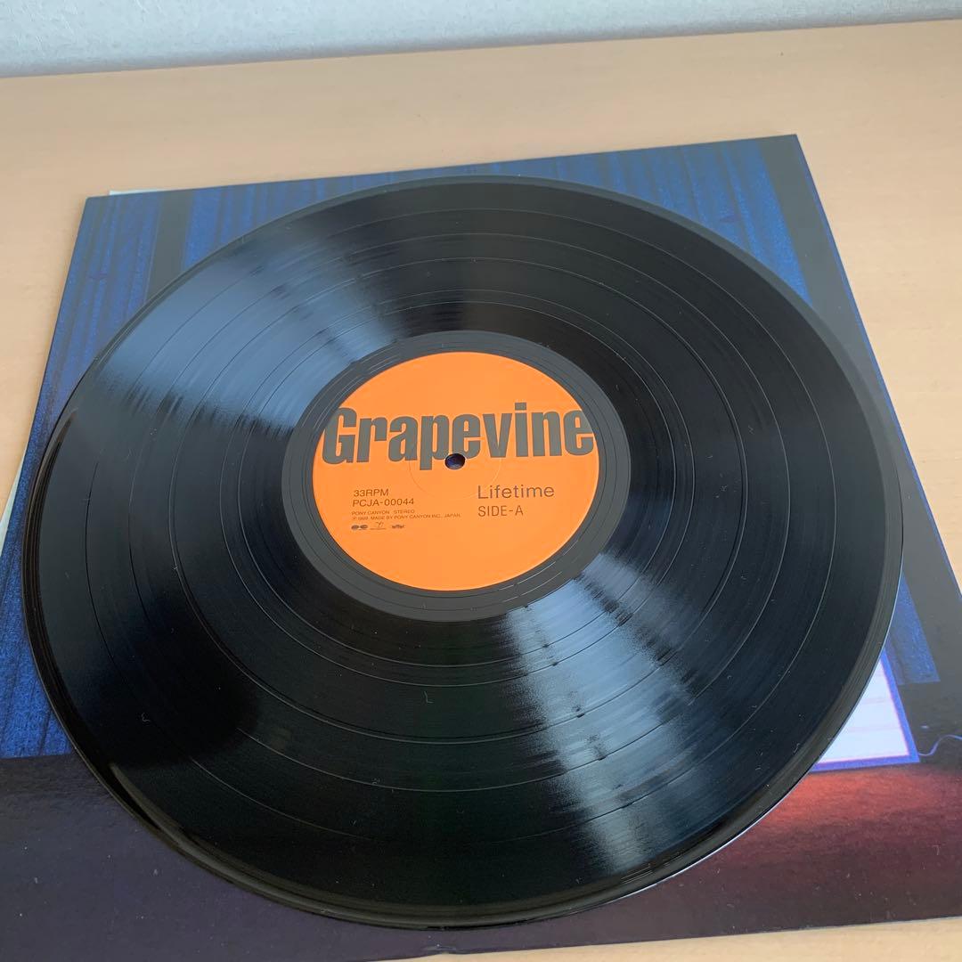 GRAPEVINE/LIFETIME LPレコード