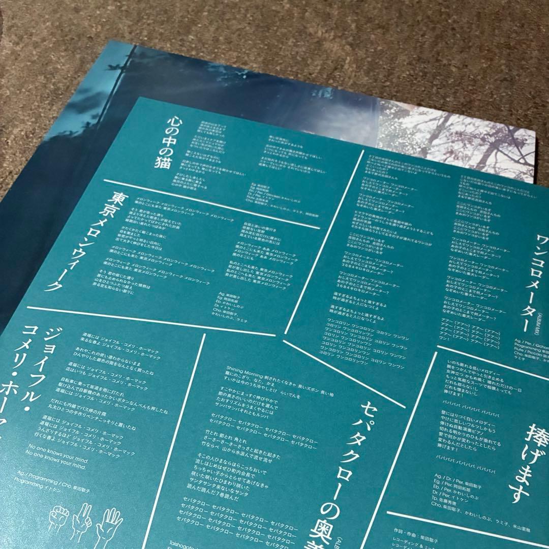 【柴田聡子 / がんばれ！メロディー】アナログLP 完全限定生産 美品