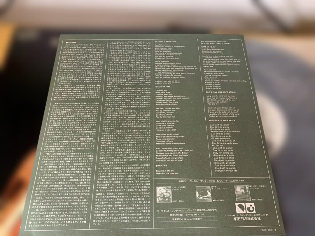見本盤 Ron Geesin, Roger Waters The Body