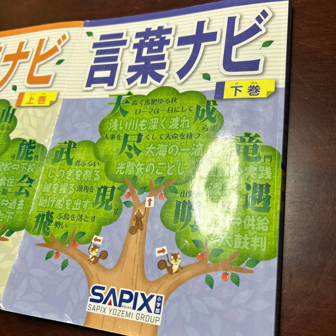 ⑲ら　SAPIX サピックス　言葉ナビ 上巻・下巻セット SAPIX 重要教材