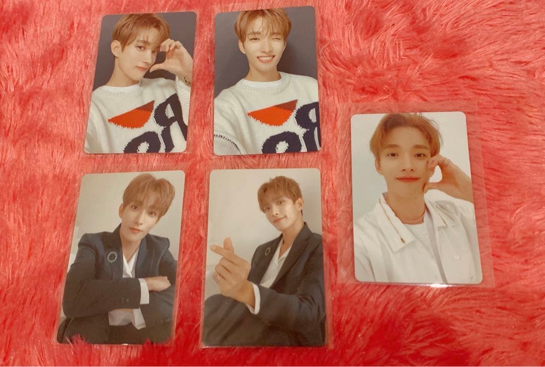 SEVENTEEN  舞い落ちる花びら ドギョム トレカ
