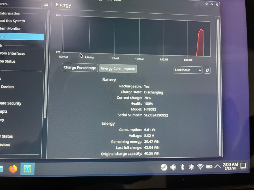 その他 SteamDeck LCD 256GB